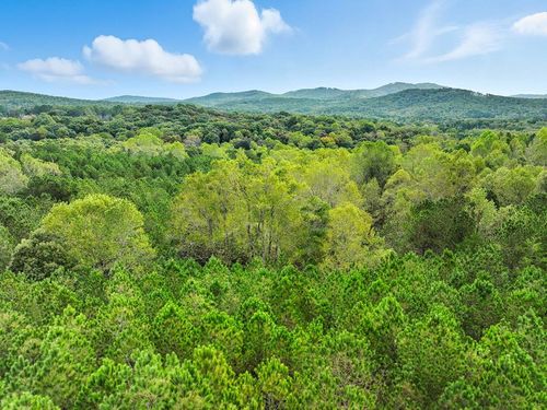 0 Old Pleasant Valley Ln, Talking Rock, GA, 30175 | Card Image