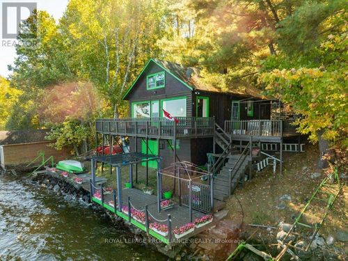 {{alt}} | Card Image