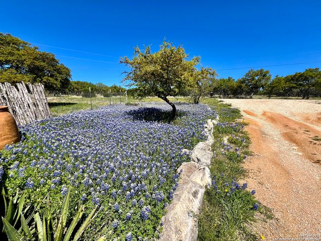 163 Northridge Dr W, House other with 2 bedrooms, 3 bathrooms and null parking in Mountain Home TX | Image 28