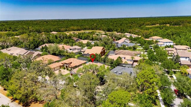 5316 Candler View Dr, House other with 4 bedrooms, 5 bathrooms and null parking in Lithia FL | Image 75