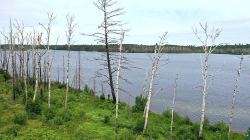 2377 N Mcdougal Lake Rd, Isabella, MN, 55607 | Card Image