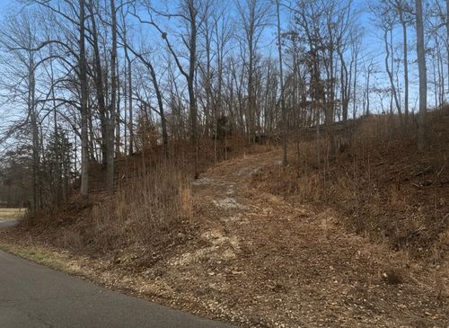 0 Brown Mill Rd, Mc Ewen, TN, 37101 | Card Image