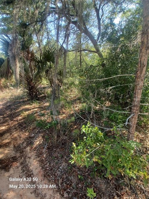 108 Rabbit Track Rd, Satsuma, FL, 32189-2358 | Card Image
