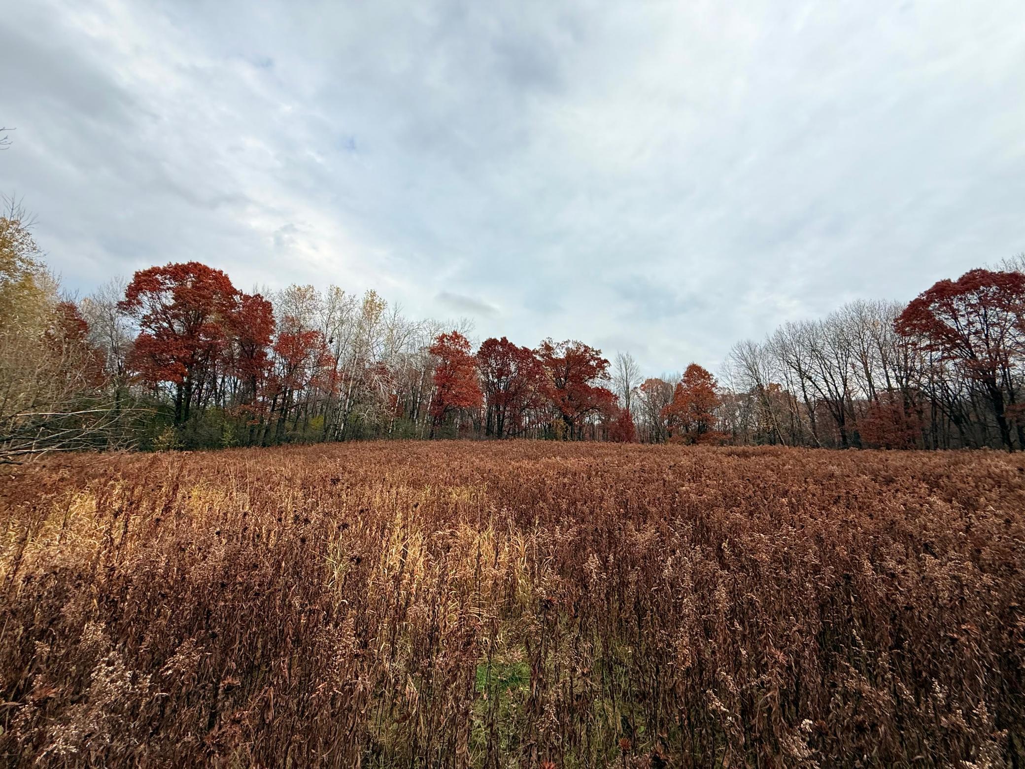Land in Amery 3