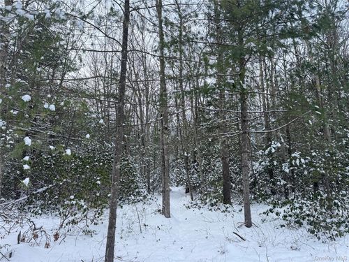 171 Renner Road, Fallsburg, NY, 12733 | Card Image