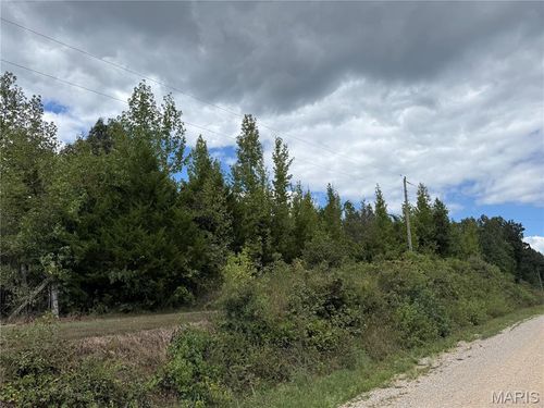 0 County Road 482, Poplar Bluff, MO, 63901 | Card Image