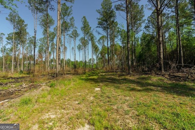 6053 Sun Hill Grange Rd, Home with 0 bedrooms, 0 bathrooms and null parking in Davisboro GA | Image 52