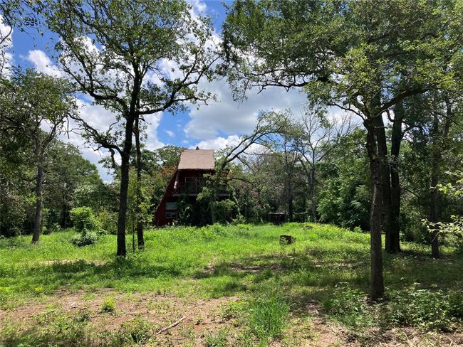 Property is secluded with mature native trees. | Image 20