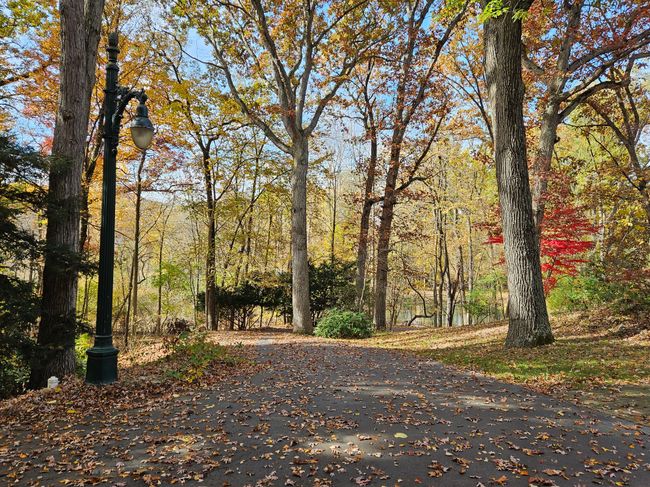 31230 Old Trail Ct, House other with 4 bedrooms, 3 bathrooms and null parking in Franklin MI | Image 22