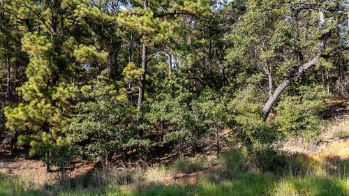 136 Lamaloa Ln, Bastrop, TX, 78602-6103 | Card Image