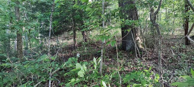 another view of upper property | Image 41