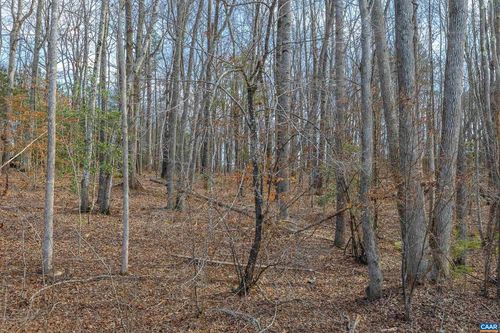 TBD Bible Way Rd, Victoria, VA, 23974 | Card Image