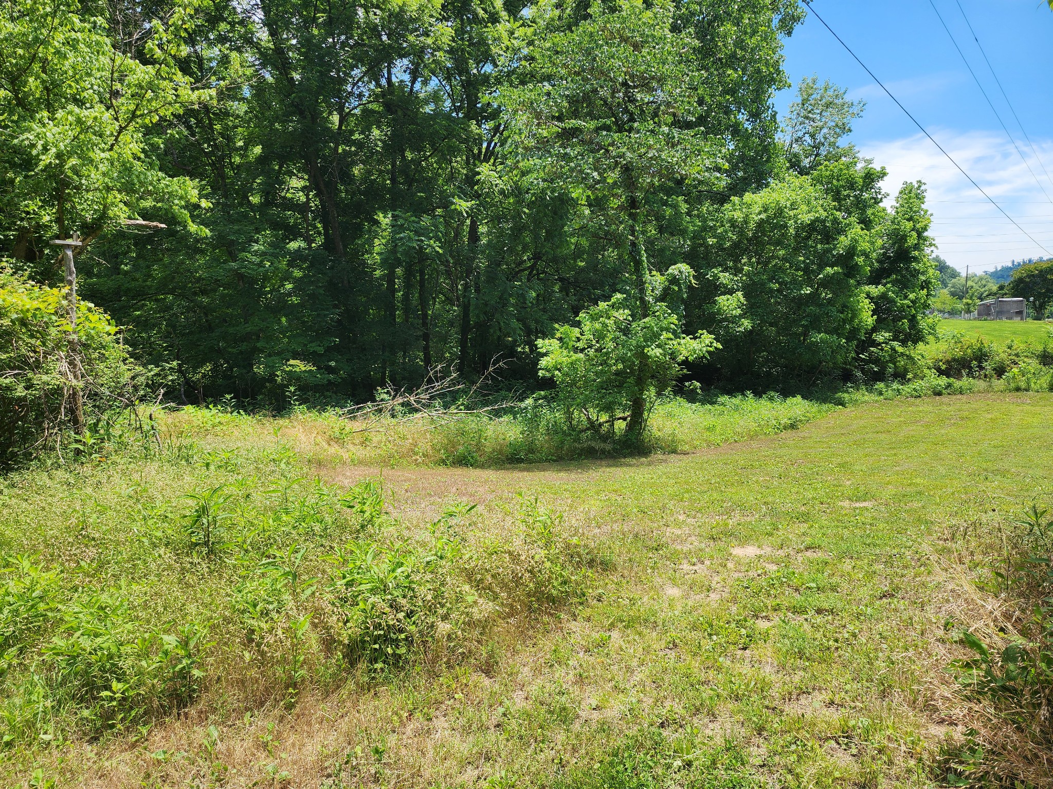 Land in Hartsville 2