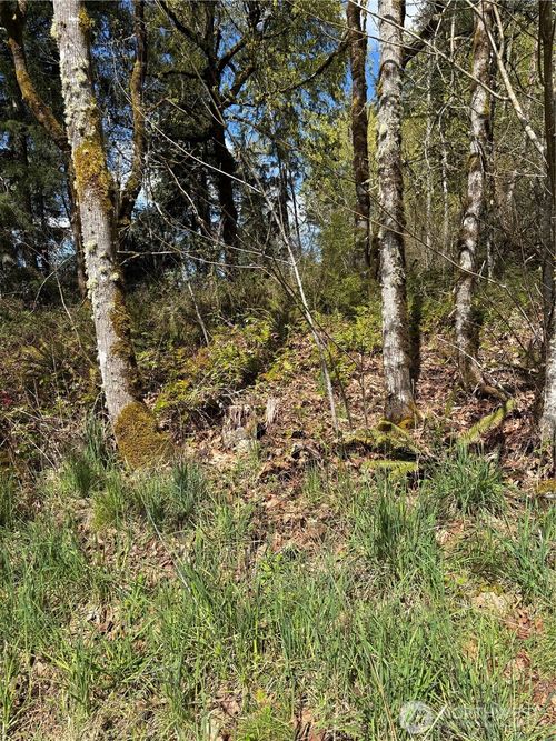 5838 Octava Court Sw, Olympia, WA, 98513 | Card Image