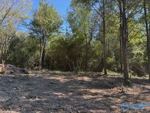 Lot 4 County Road 1497, Vinemont, AL, 35179 | Card Image