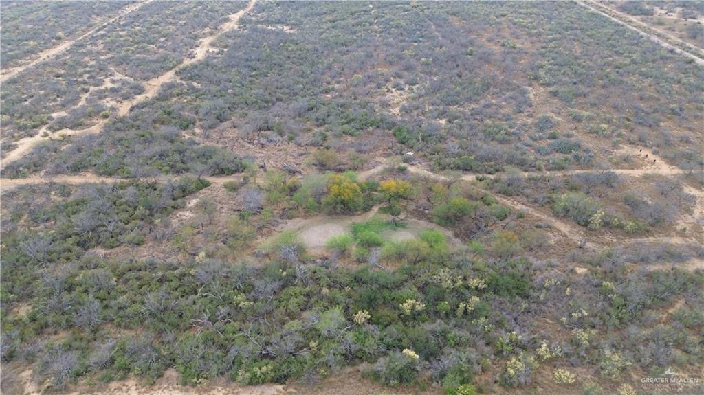 Land in San Ygnacio 2
