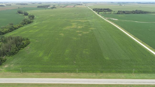 DJI_0805.JPG | Image 7