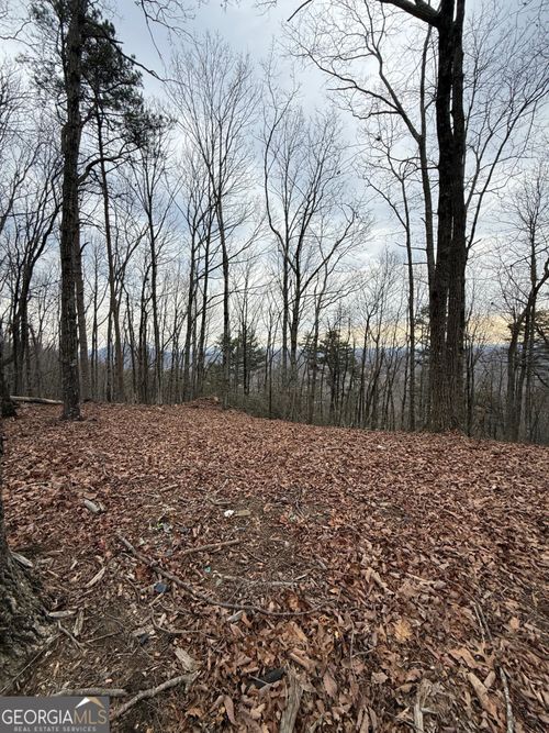 LOT 8 Westmoreland Rd, Cleveland, GA, 30528 | Card Image