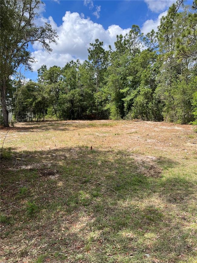 00 Se 161st Place, Home with 0 bedrooms, 0 bathrooms and null parking in Summerfield FL | Image 2