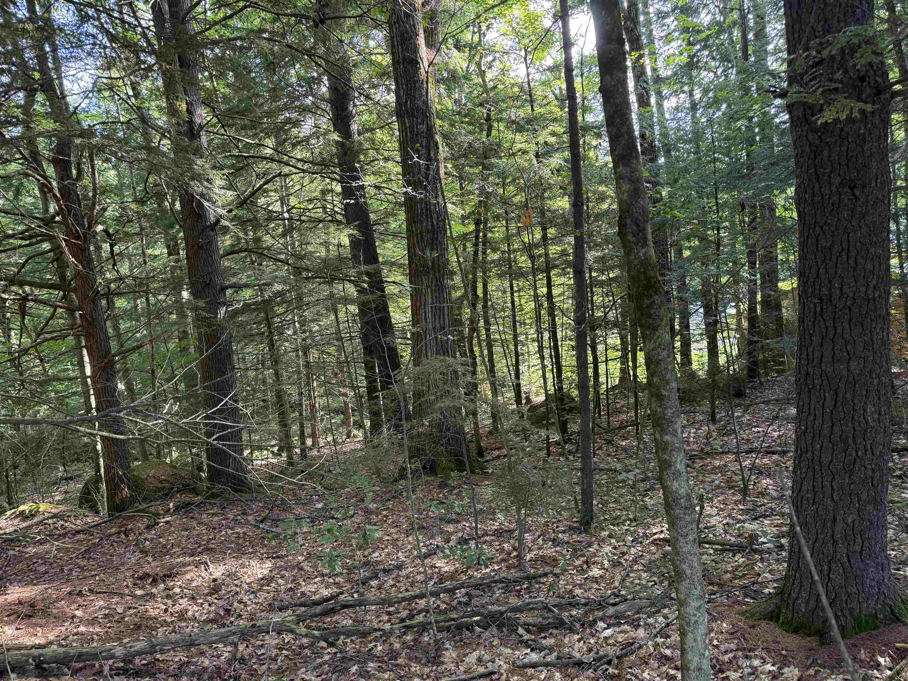 Land in Hillsborough 2