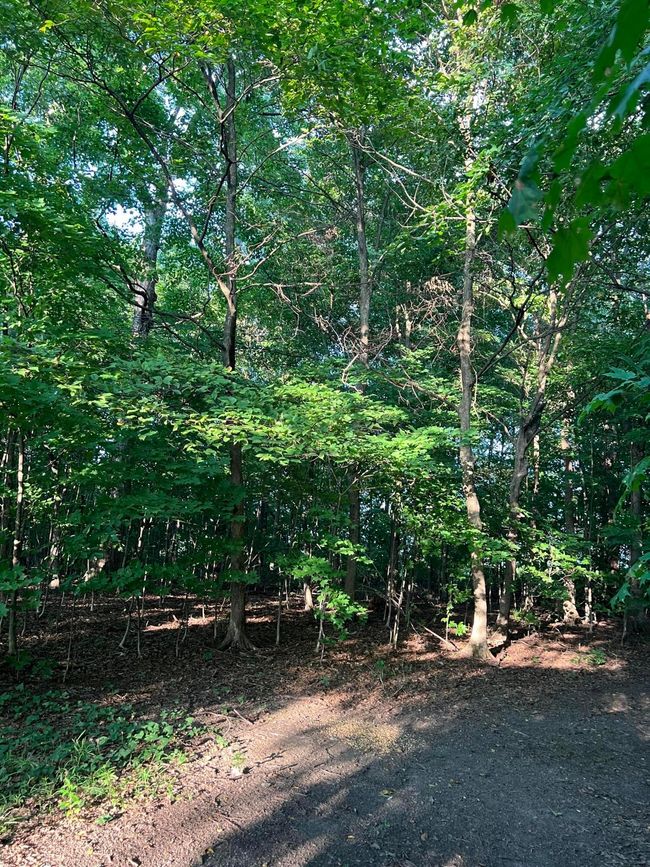 0 Norton Road, Home with 0 bedrooms, 0 bathrooms and null parking in Radnor OH | Image 14