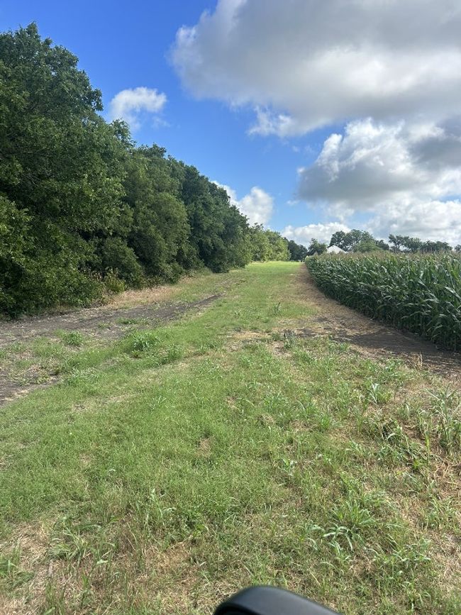 View of yard | Image 17