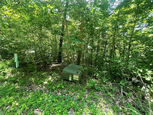 0 21 Gilchrist Avenue, Tornado, WV, 25003 | Card Image