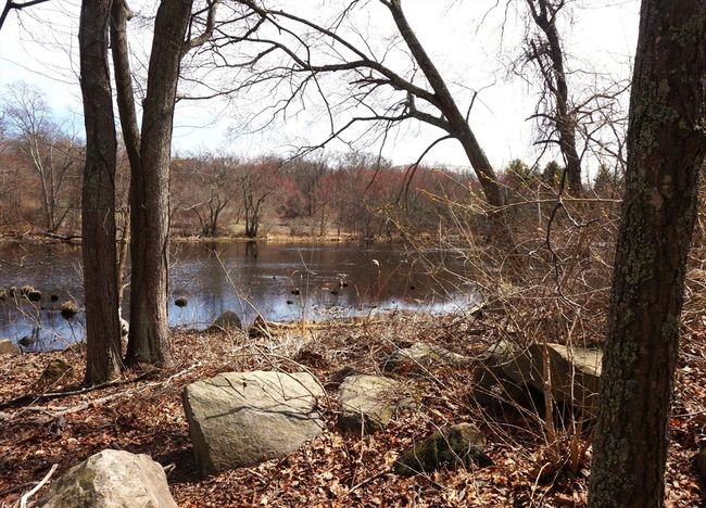 28 Stowe Rd, House other with 3 bedrooms, 1 bathrooms and 3 parking in Grafton MA | Image 4
