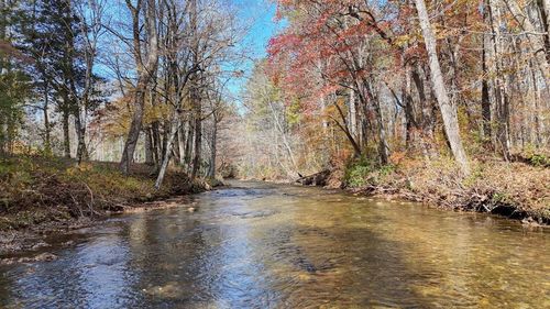 Lot 5 Big Pine Dr, Hiawassee, GA, 30546 | Card Image