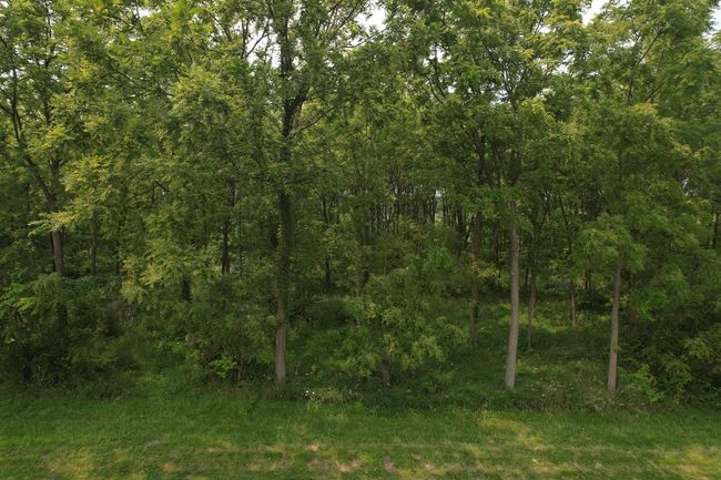 00 1950 North Ave, Home with 0 bedrooms, 0 bathrooms and null parking in Princeton IL | Image 10