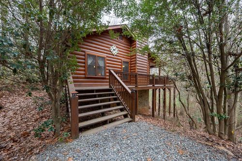 1165 Little Bushy Head Road, Blue Ridge, GA, 30513 | Card Image