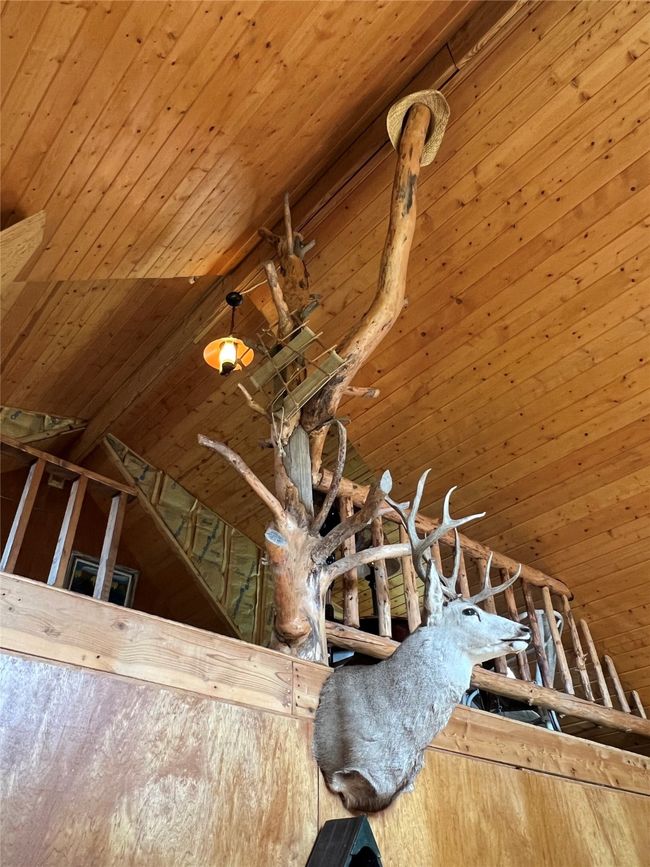 Deer mount and wood art in loft - check out the hat on top! | Image 36