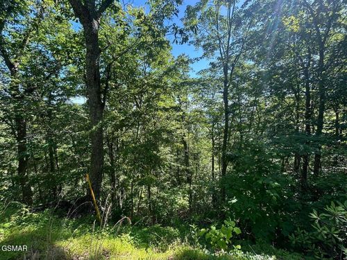 Lot 1R Overholt Trail, Sevierville, TN, 37862 | Card Image