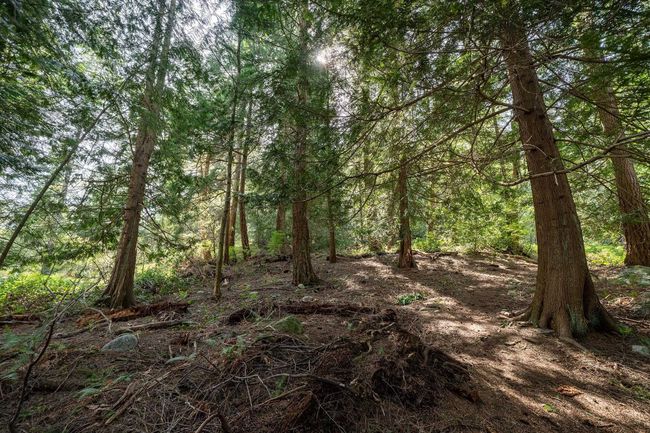 912 Taylor Rd, House other with 3 bedrooms, 1 bathrooms and null parking in Bowen Island BC | Image 20
