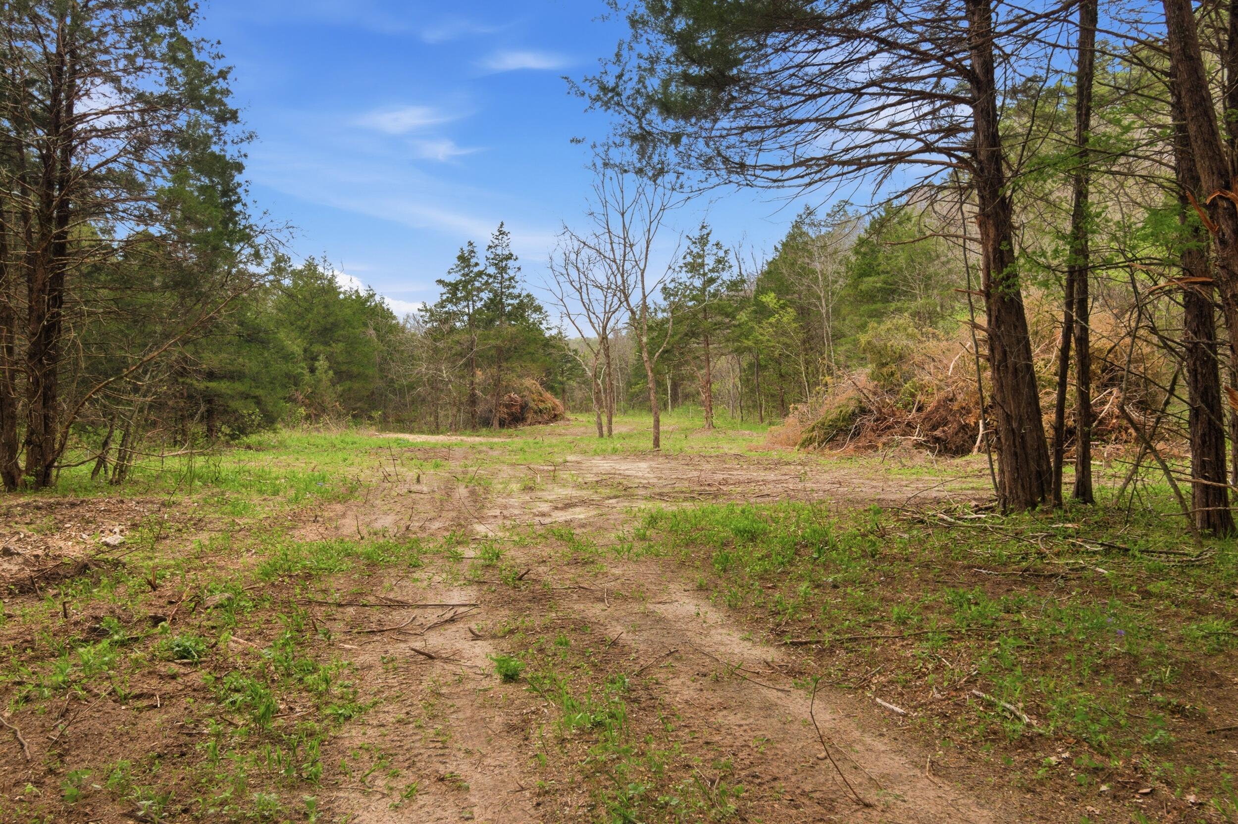 Land in Licking 5