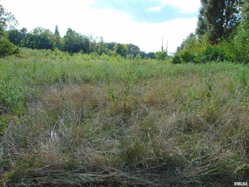 6589 State Rte 154, Tamaroa, IL, 62888-2433 | Card Image