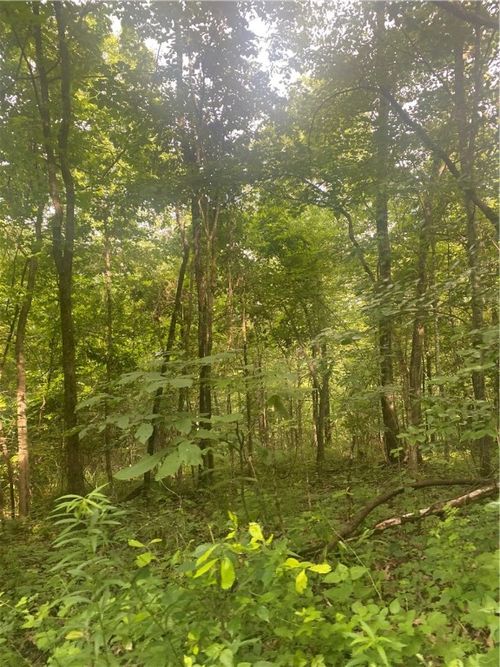 1818 Madison 4805, Pettigrew, AR, 72752 | Card Image