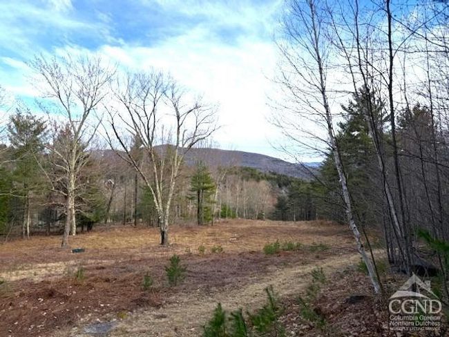 0 Campbell Rd, Home with 0 bedrooms, 0 bathrooms and null parking in Windham NY | Image 11