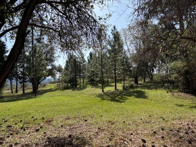 19292 Shawnee Trl, Home with 0 bedrooms, 0 bathrooms and null parking in Mokelumne Hill CA | Image 16