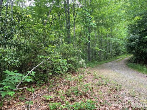 279-Lt 279 Cabin Flats Rd, Balsam, NC, 28707 | Card Image