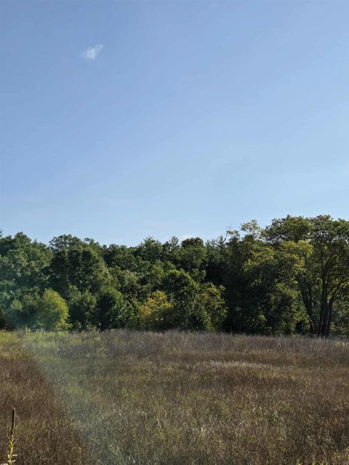 00 Runyon Ln, Hale, MI, 48739 | Card Image