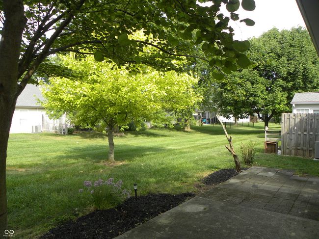 view of yard | Image 20