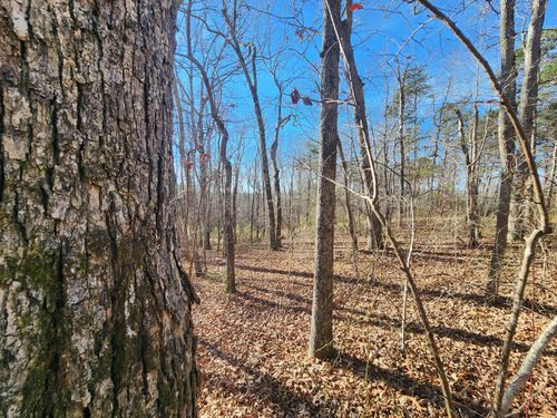 35 Road 9050, Mentone, AL, 35984-5022 | Card Image