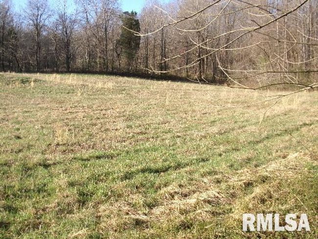 2225 Route 34, House other with 4 bedrooms, 2 bathrooms and null parking in Rosiclare IL | Image 60