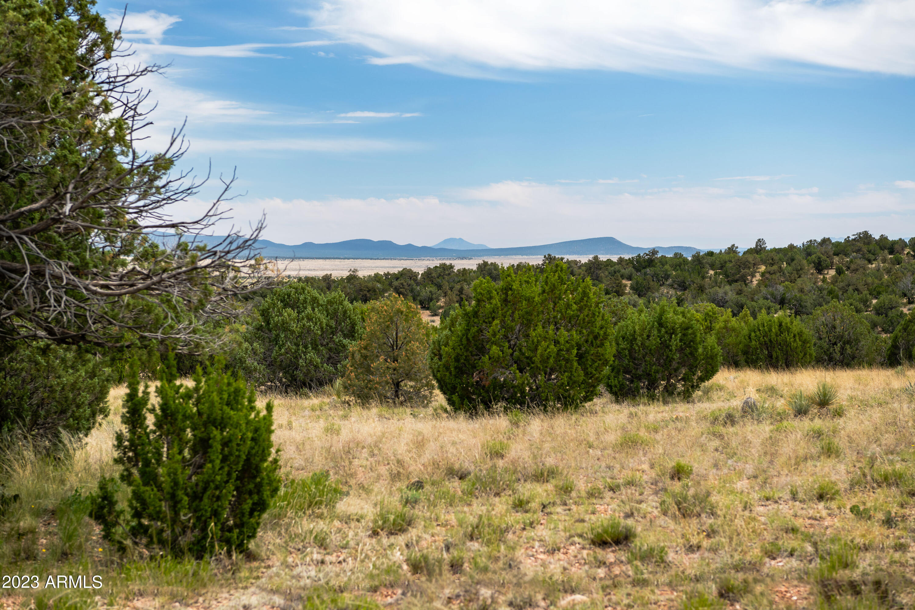 Land in Seligman 2