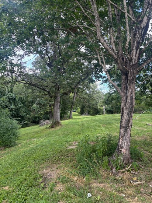 1040 Corlew Rd, White Bluff, TN, 37187-5302 | Card Image