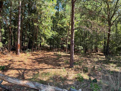 Lot 195 Green Meadow Trail, Holly Lake Ranch, TX, 75765 | Card Image