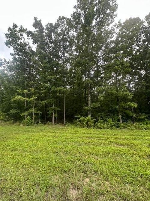 198 Kyuga Dr, South Pittsburg, TN, 37380 | Card Image