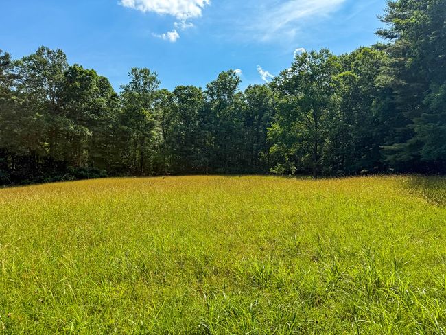 2486 Laurel Fork Rd, Home with 0 bedrooms, 0 bathrooms and null parking in Rocky Gap VA | Image 44