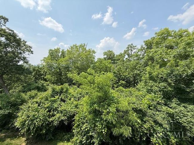 5620 Windridge Vw, Condo with 4 bedrooms, 4 bathrooms and null parking in Columbia Twp OH | Image 51